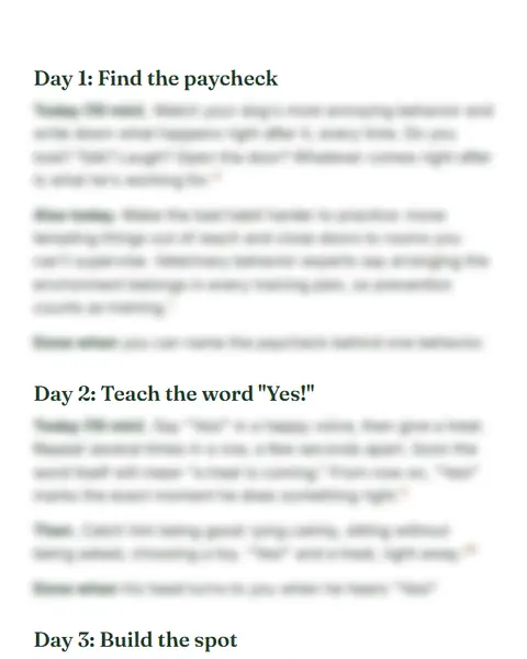 Your 7-day plan, day by day: a page of the Dachshund File, its content hidden until you buy
